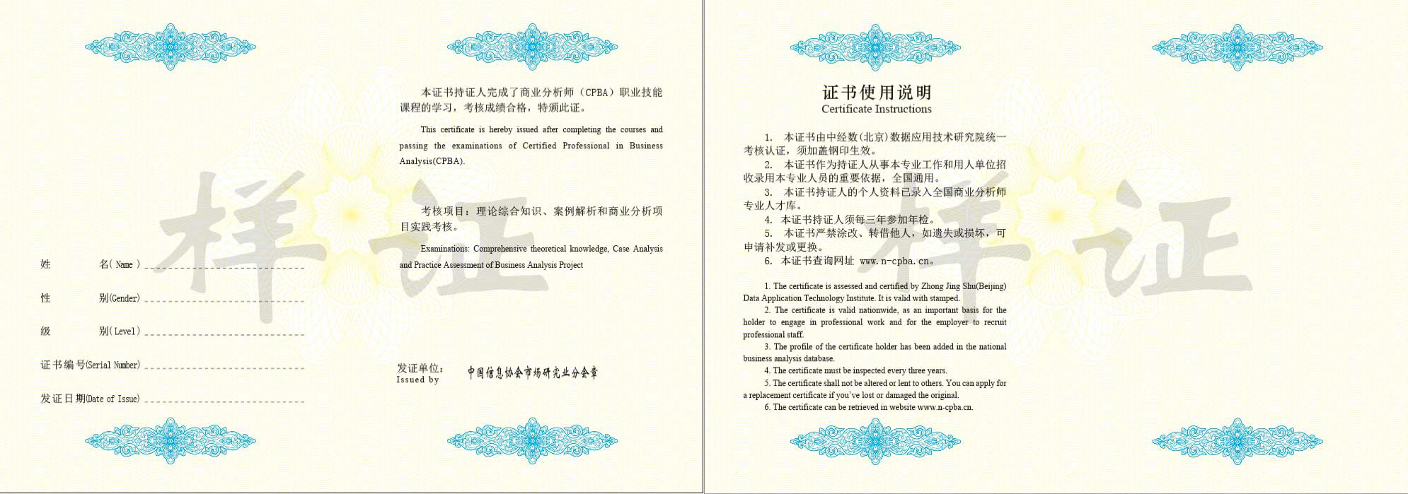 商业分析师样证二
